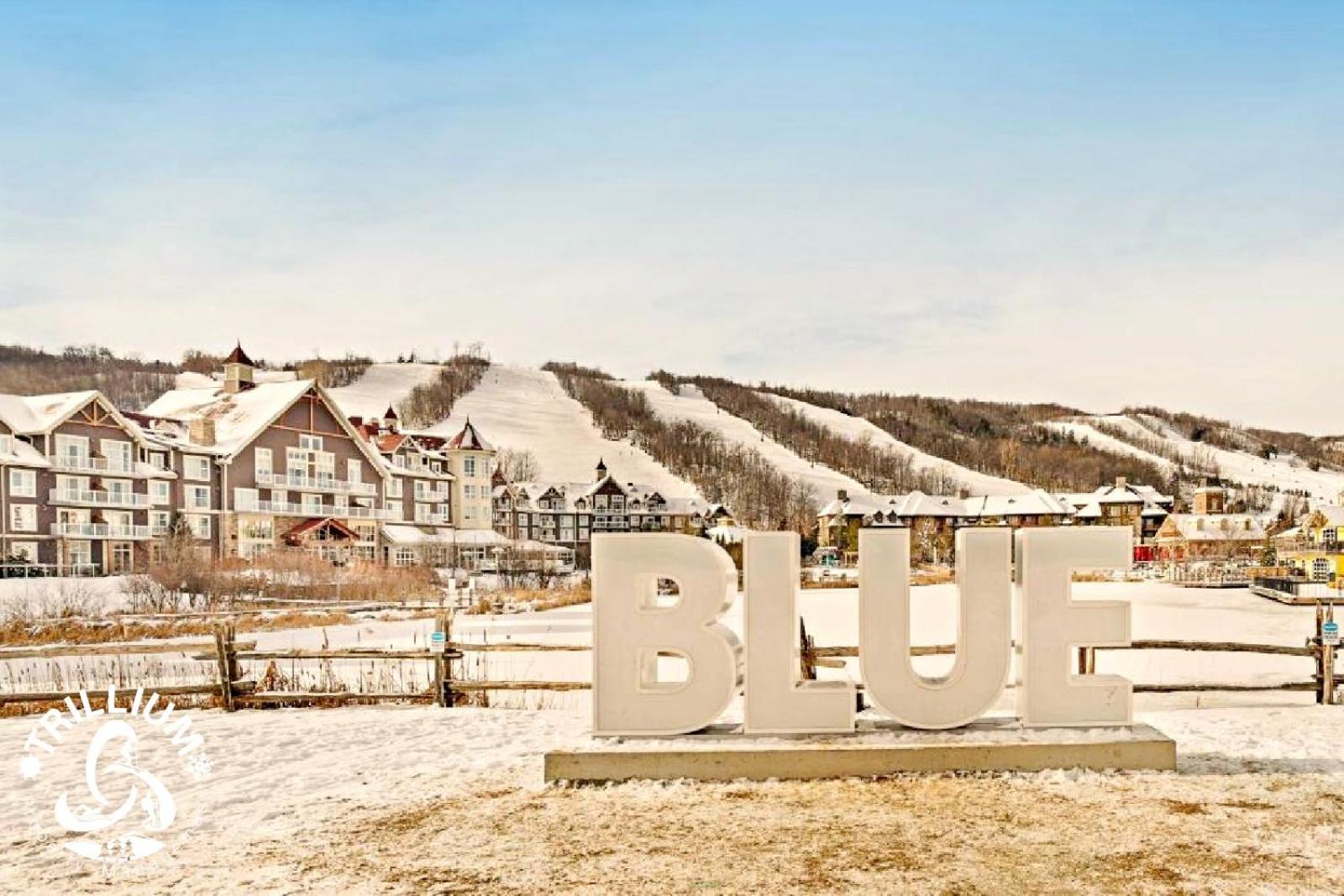 Blue Mountain, Collingwood - Loft Condo, Sleeps 4 Blue Mountains Zewnętrze zdjęcie