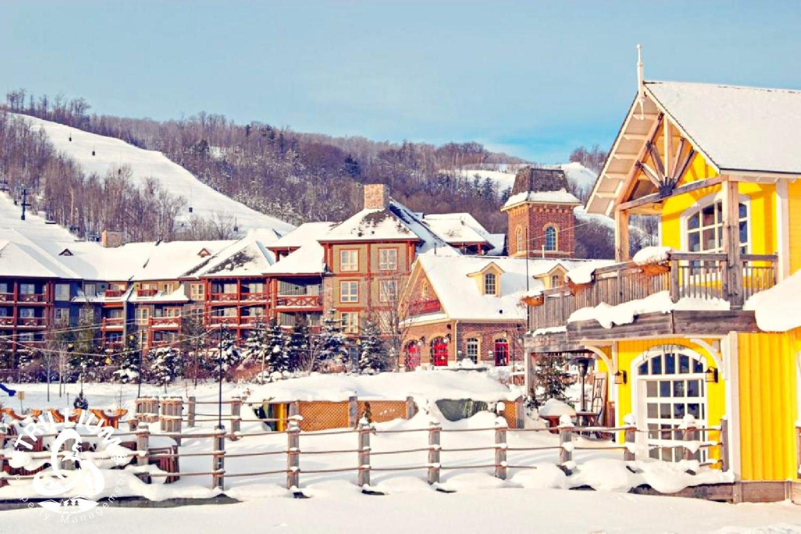 Blue Mountain, Collingwood - Loft Condo, Sleeps 4 Blue Mountains Zewnętrze zdjęcie