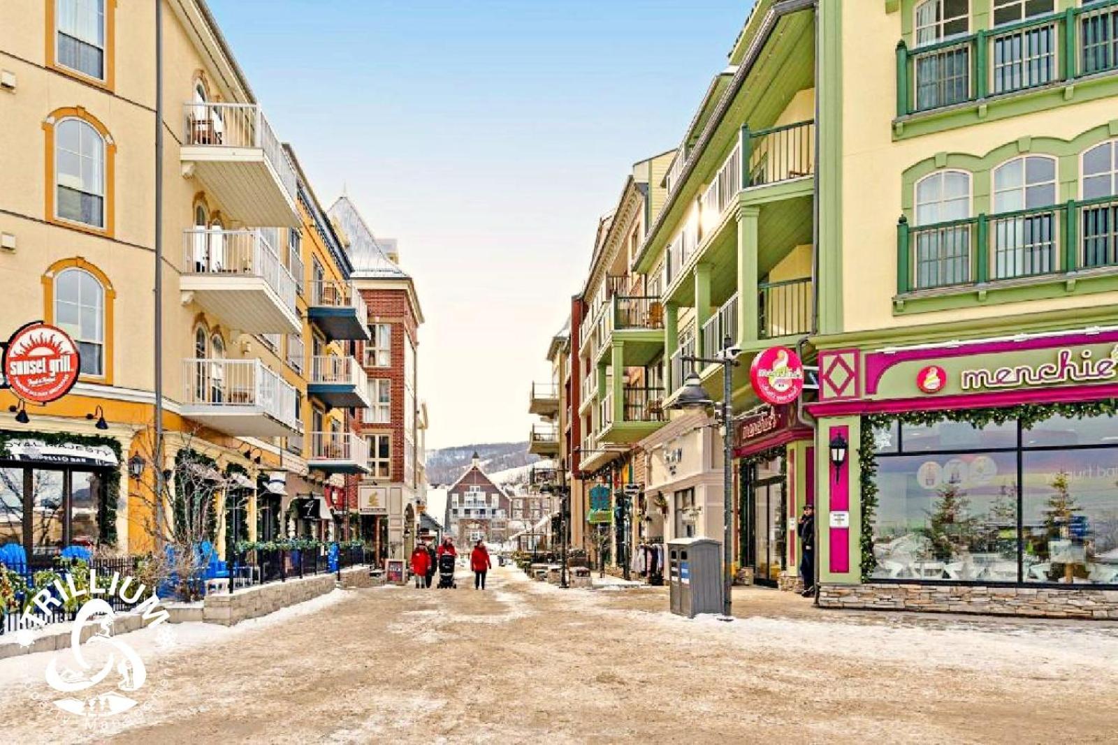 Blue Mountain, Collingwood - Loft Condo, Sleeps 4 Blue Mountains Zewnętrze zdjęcie